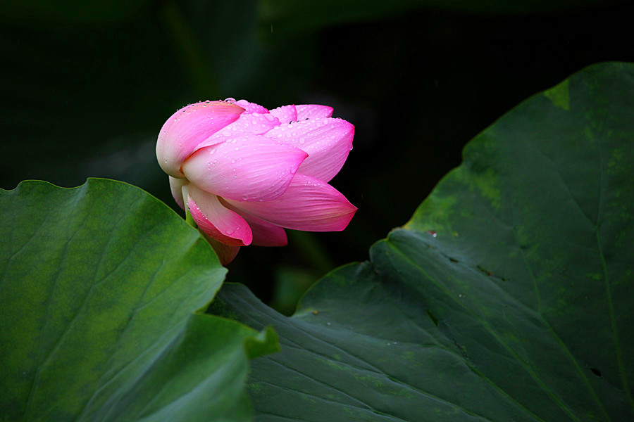 IMG_ (9)_.jpg
