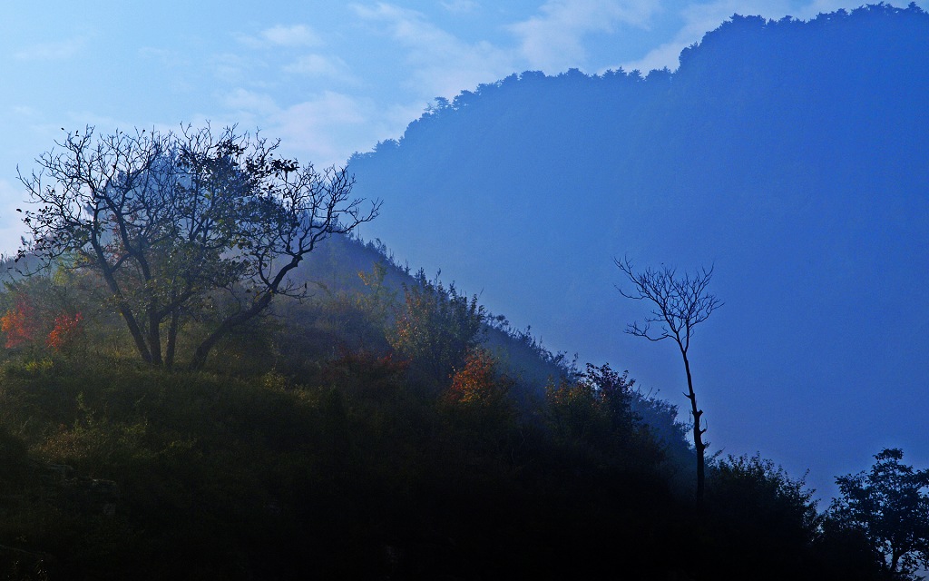_A100561.JPG