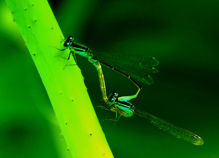 DSCN5227.JPG