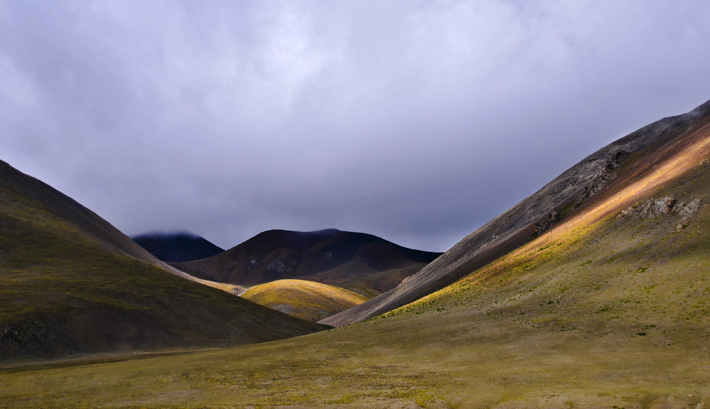 _DSC0740.jpg