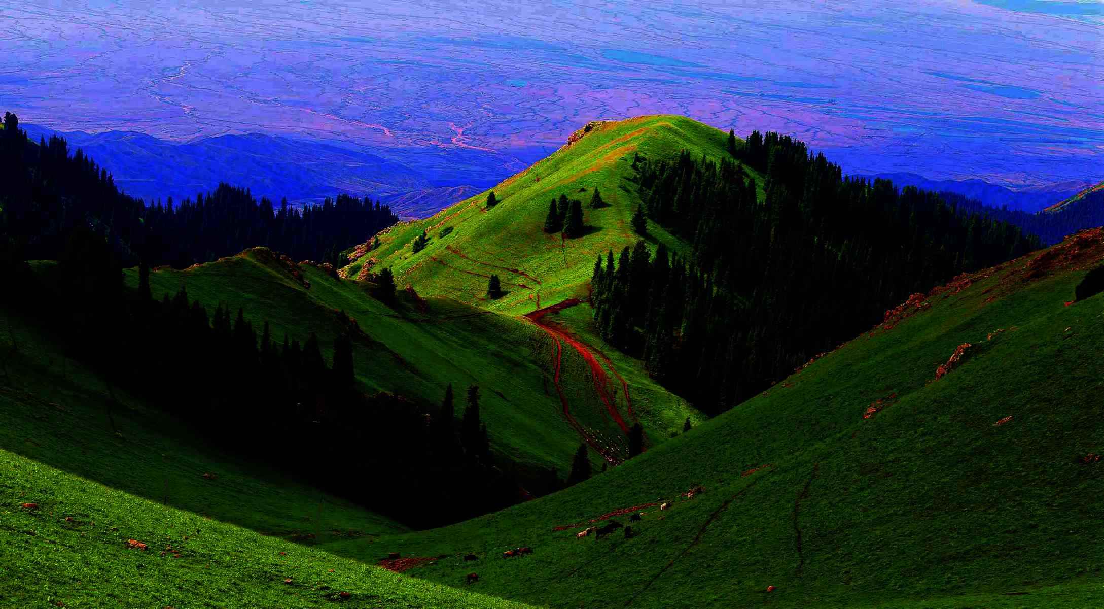 CW2Z0291_½_.jpg