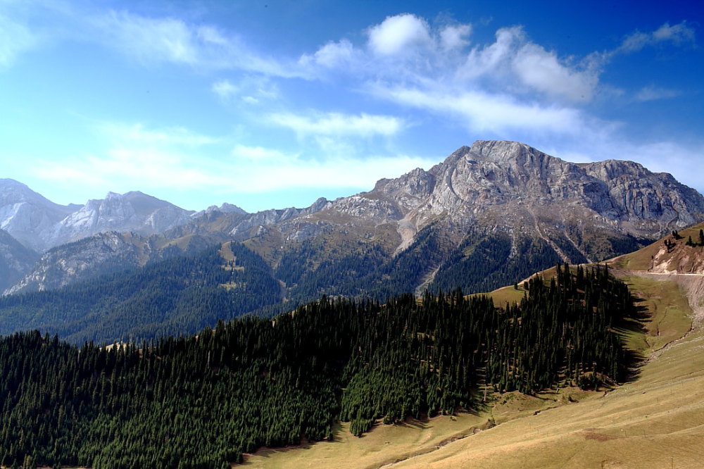 IMG_2313.JPG
