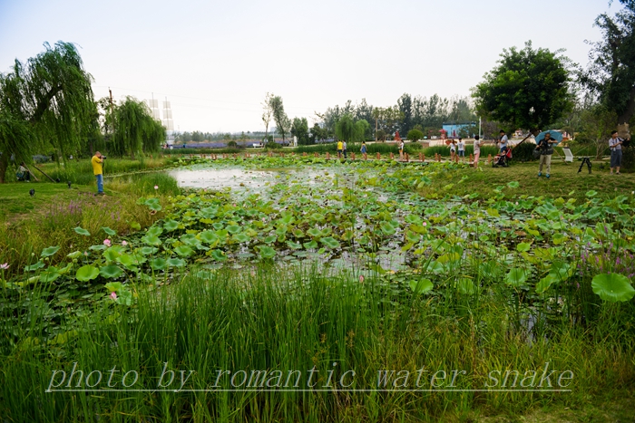 DSC_2138.jpg