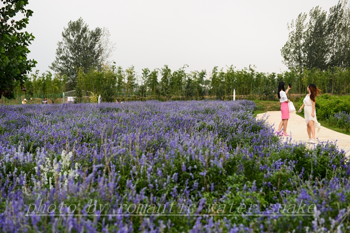 DSC_2141.jpg