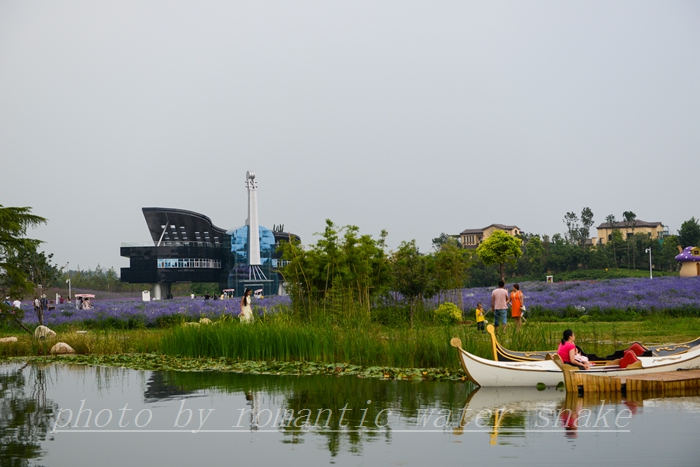 DSC_2165.jpg
