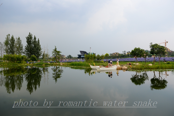 DSC_2161.jpg