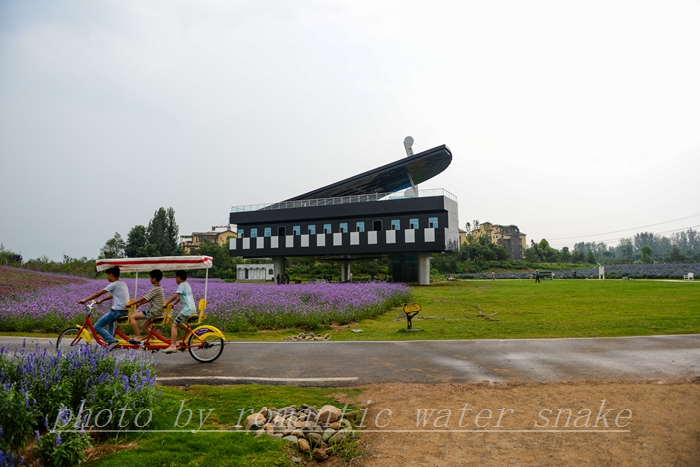 DSC_2175.jpg