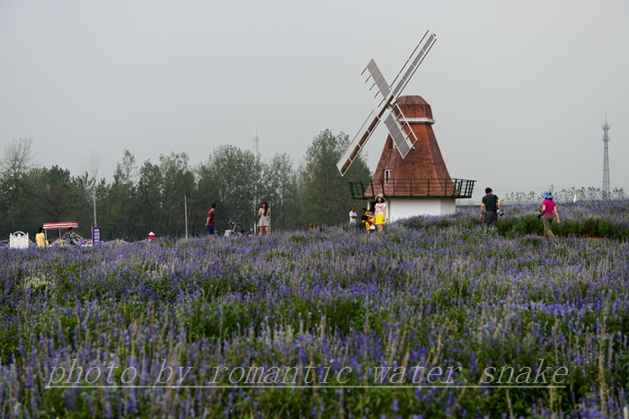 DSC_2181.jpg