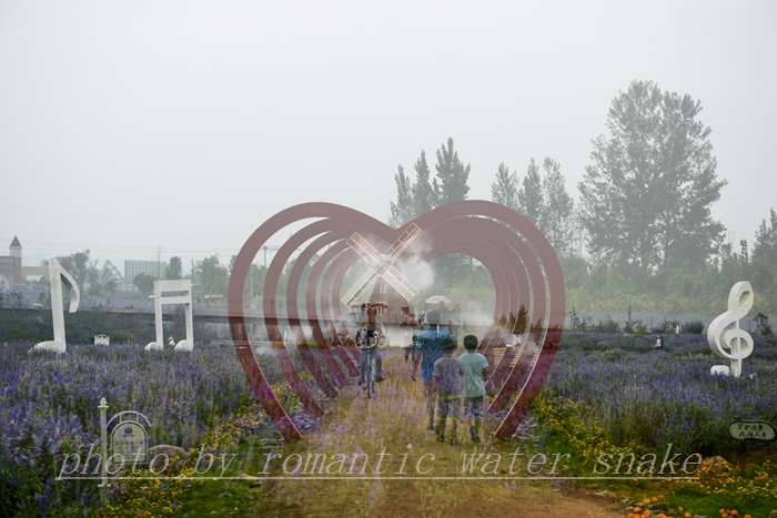DSC_2184.jpg