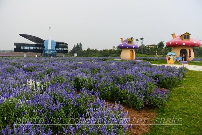 DSC_2189.jpg