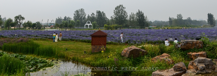 DSC_2192.jpg