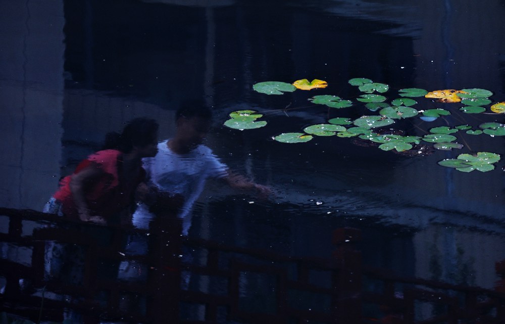 DSC_0078_.jpg