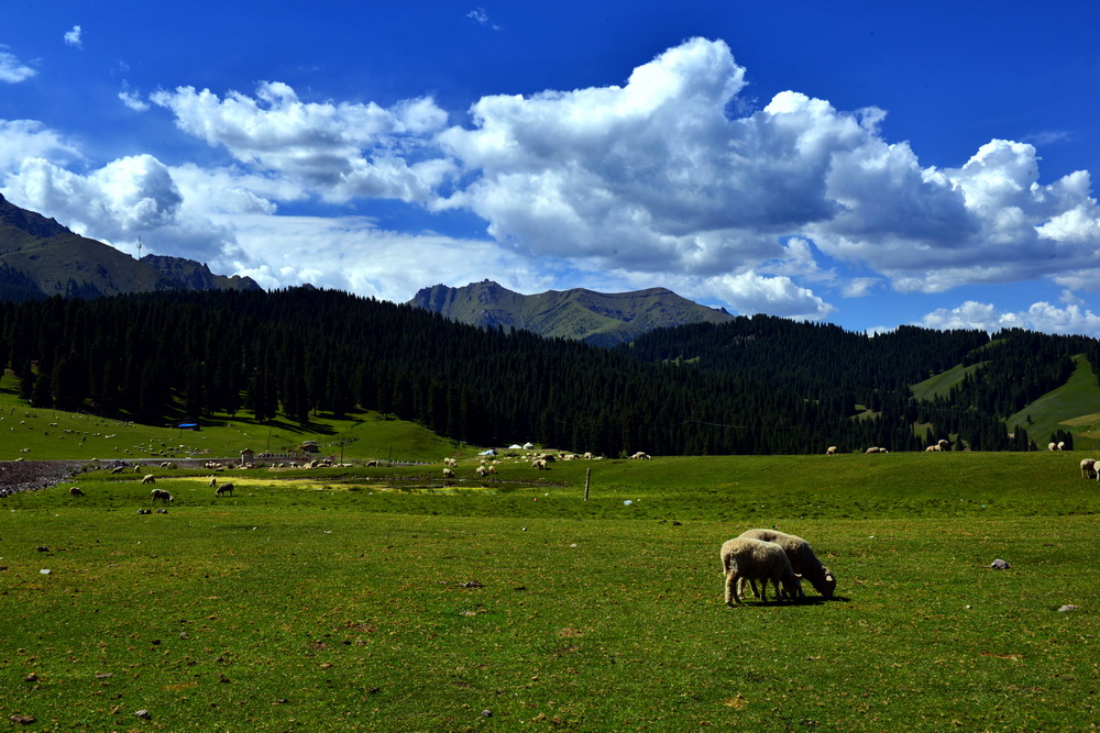 DSC_7299.JPG