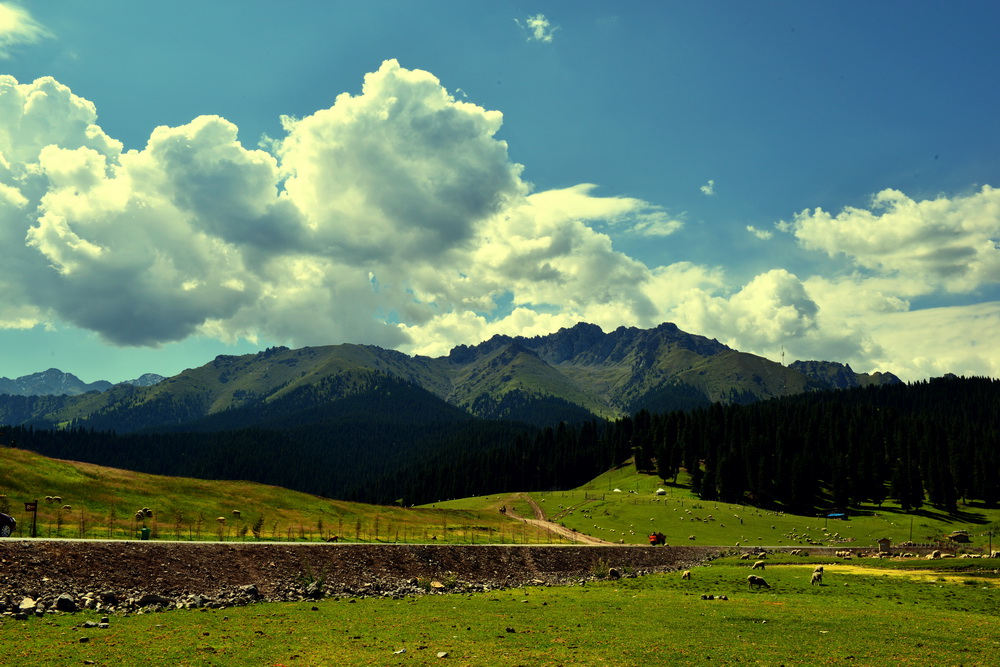 DSC_7300.JPG