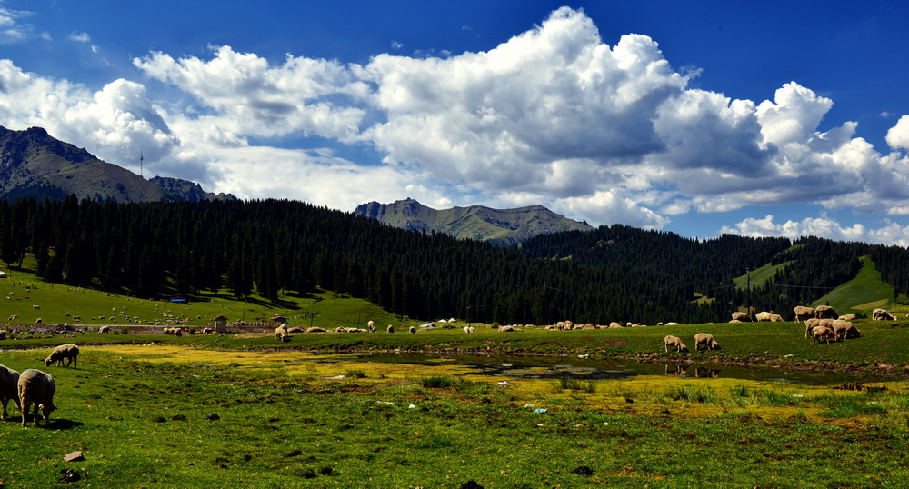 DSC_7302.JPG