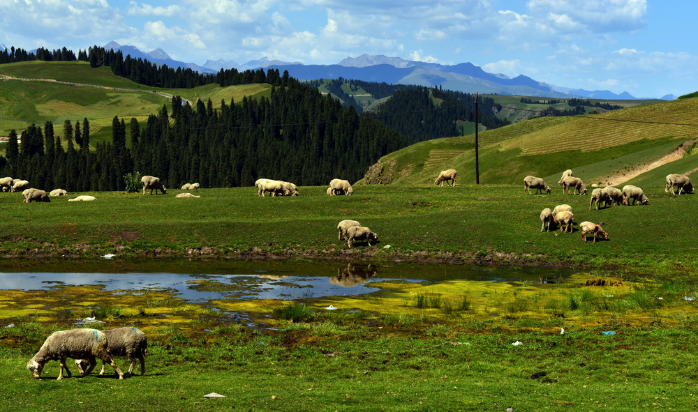 DSC_7303.JPG