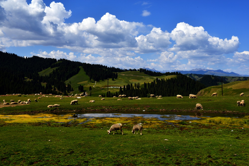 DSC_7304.JPG