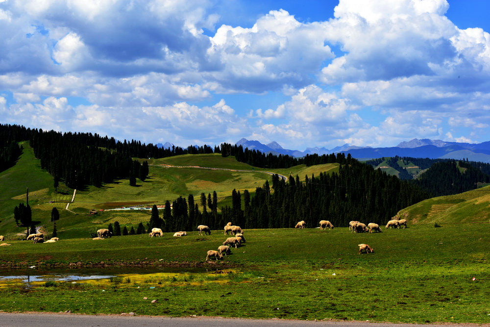 DSC_7307.JPG