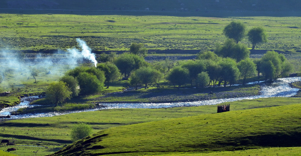 DSC_8187.JPG