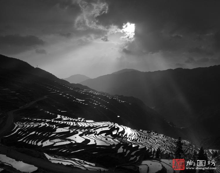 VEbSD20140816102416.jpg