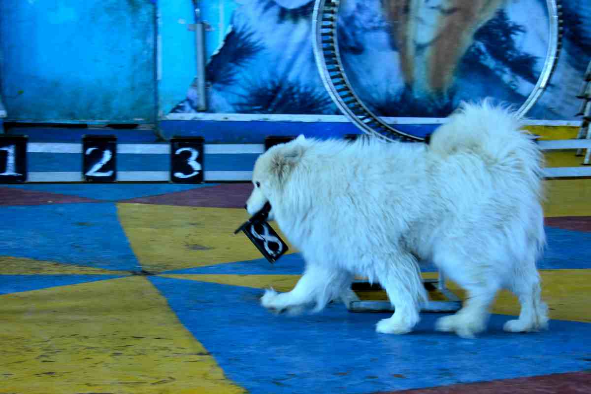 nEO_IMG__DSC9168.jpg