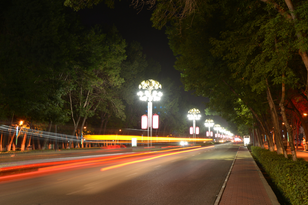DSC_8118.JPG