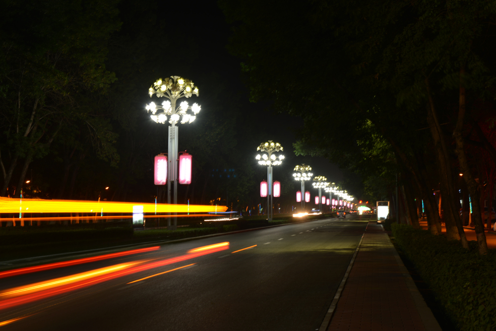 DSC_8129.JPG