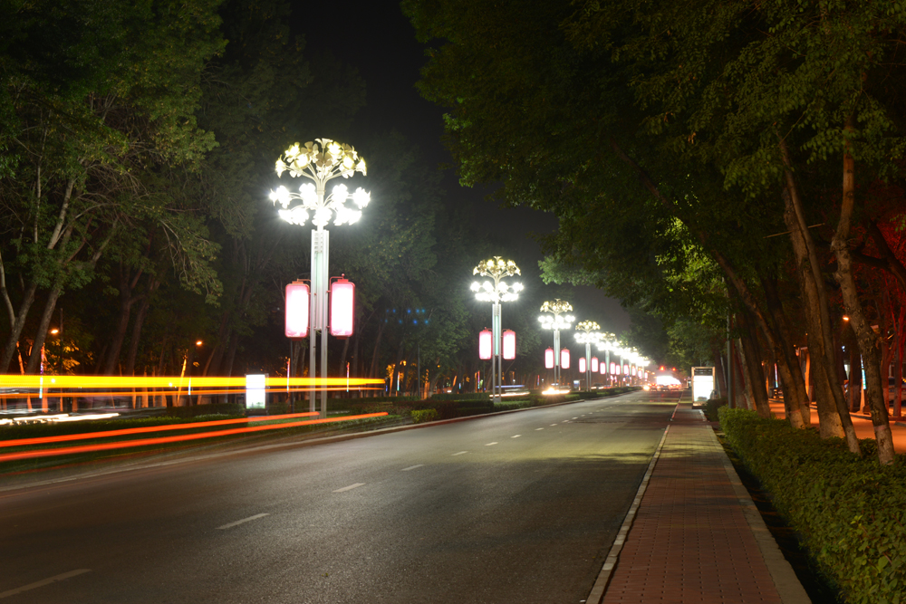 DSC_8124.JPG
