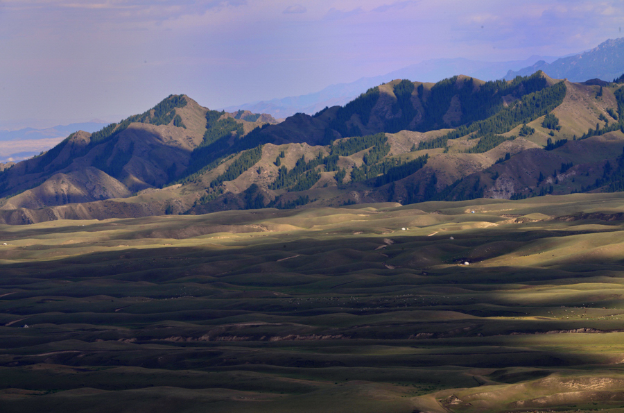 _DSC0160.jpg