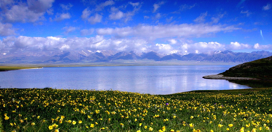 DPP_53003.JPG