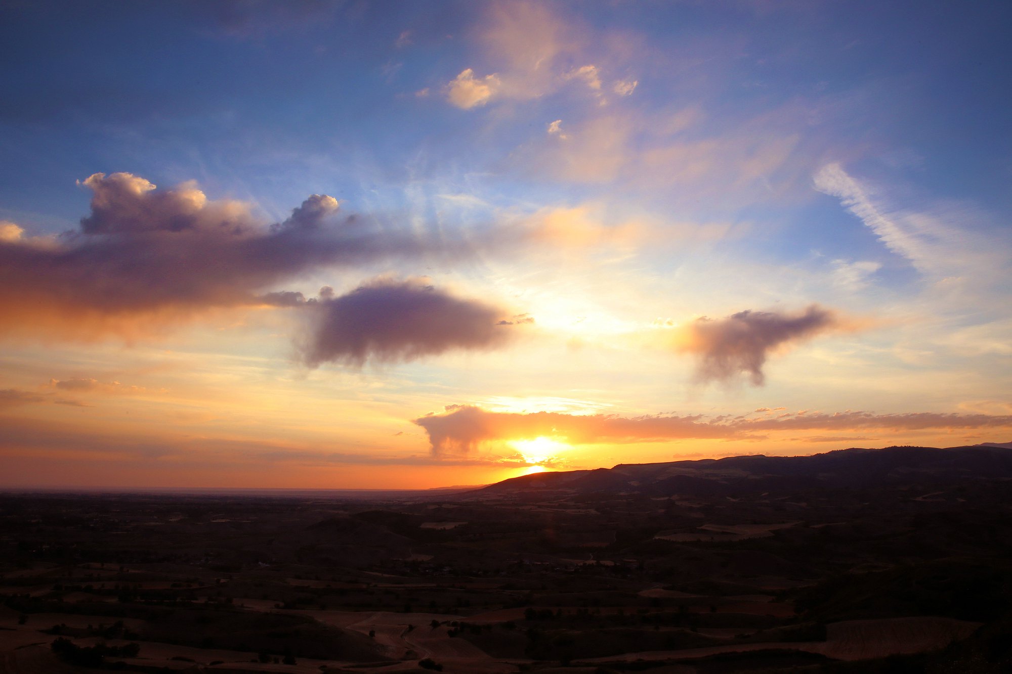 479A4623QA.jpg