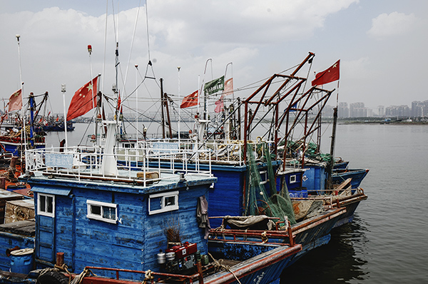 2014817 A30912.jpg
