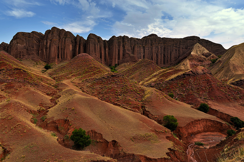 DSC_7914--1.jpg
