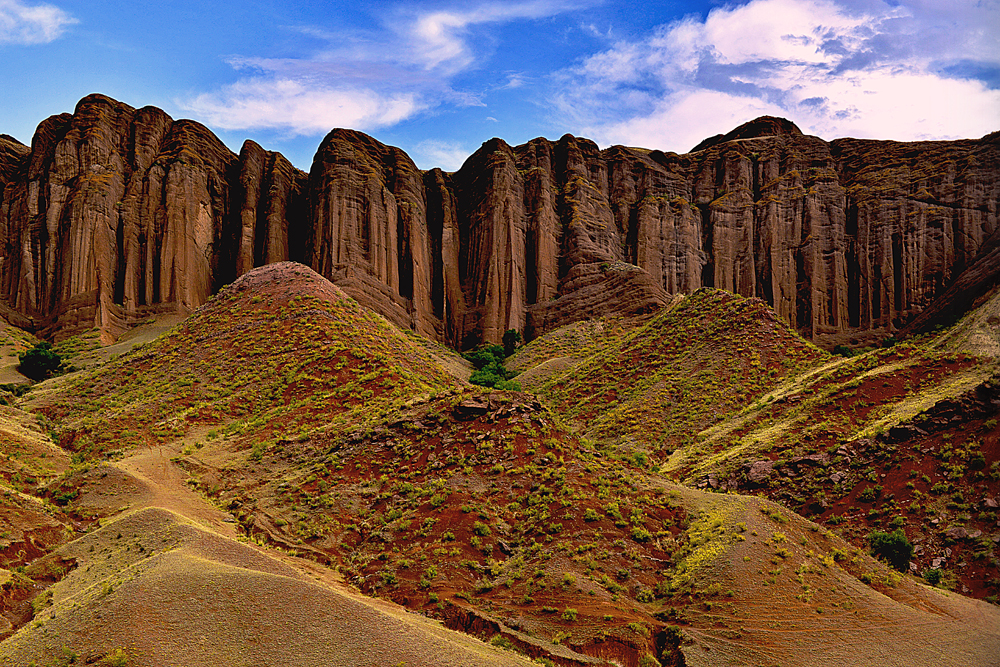 DSC_7925--1.jpg