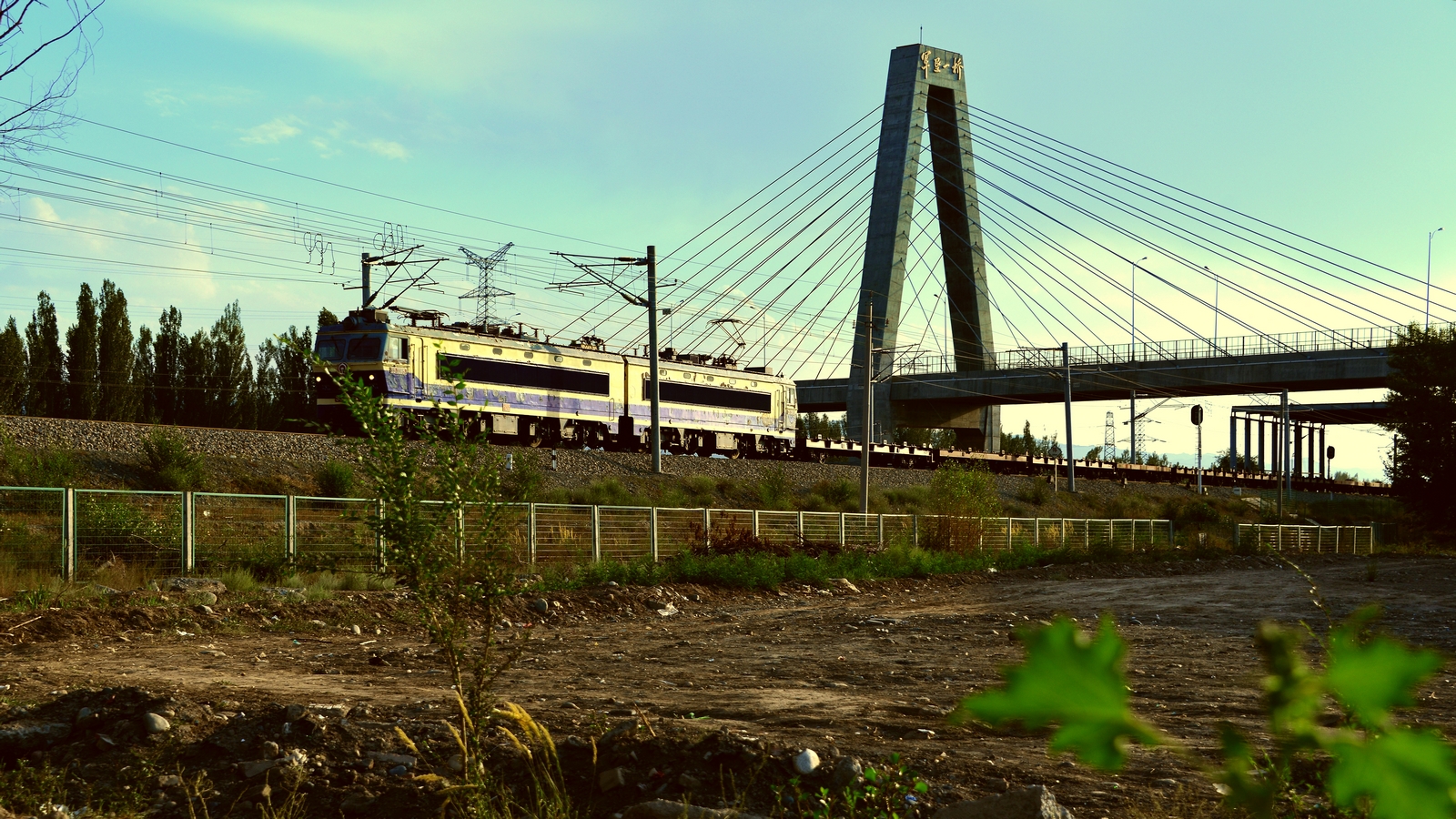 nEO_IMG__DSC7950.jpg