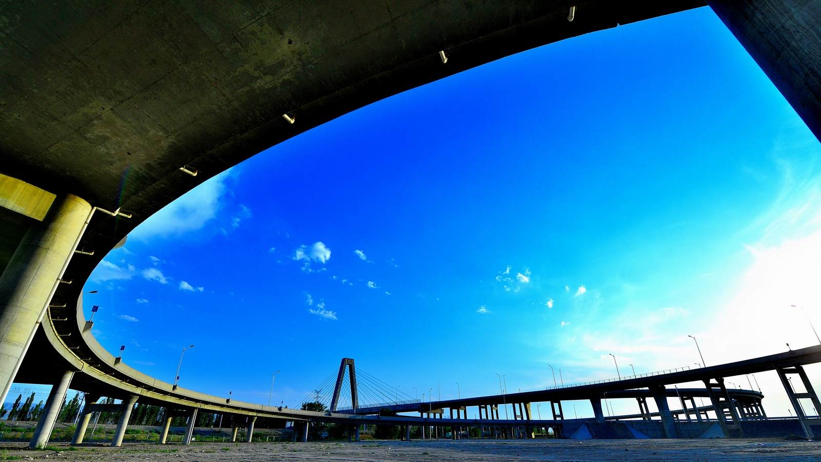 nEO_IMG__DSC7970.jpg