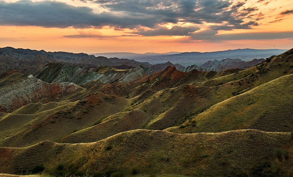 DSC_7866--1.jpg