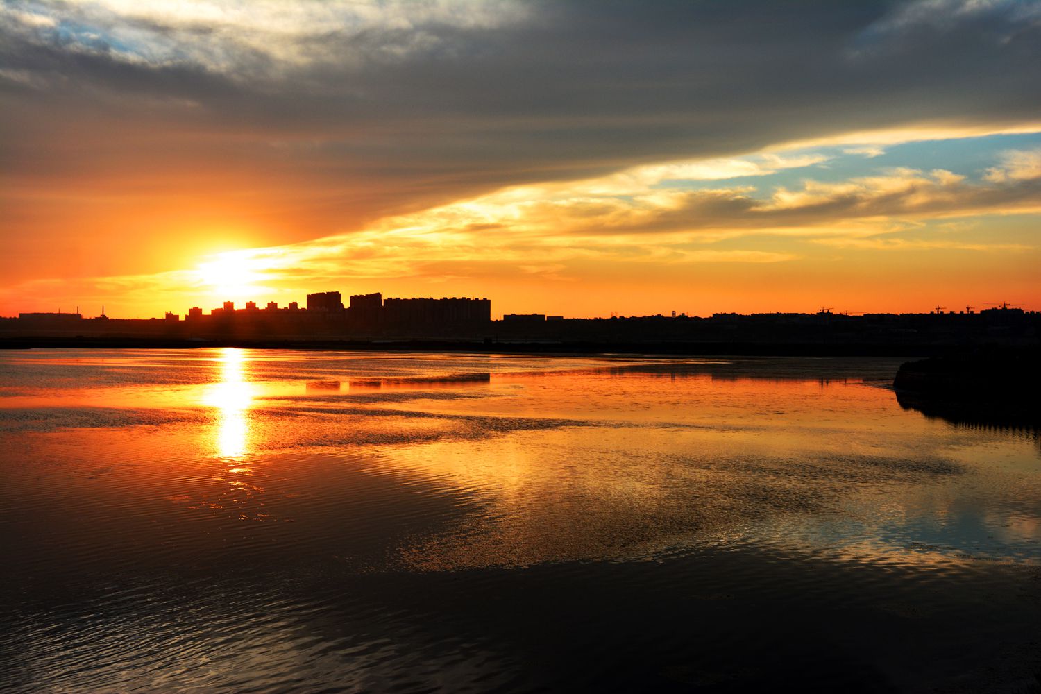 DSC_0295_.jpg