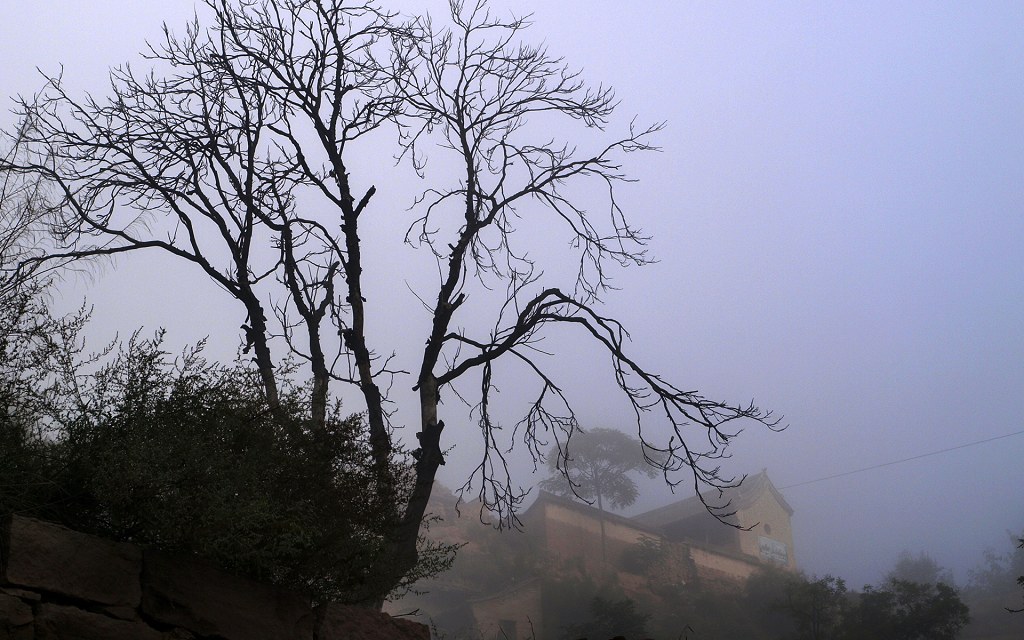 _A050055.JPG