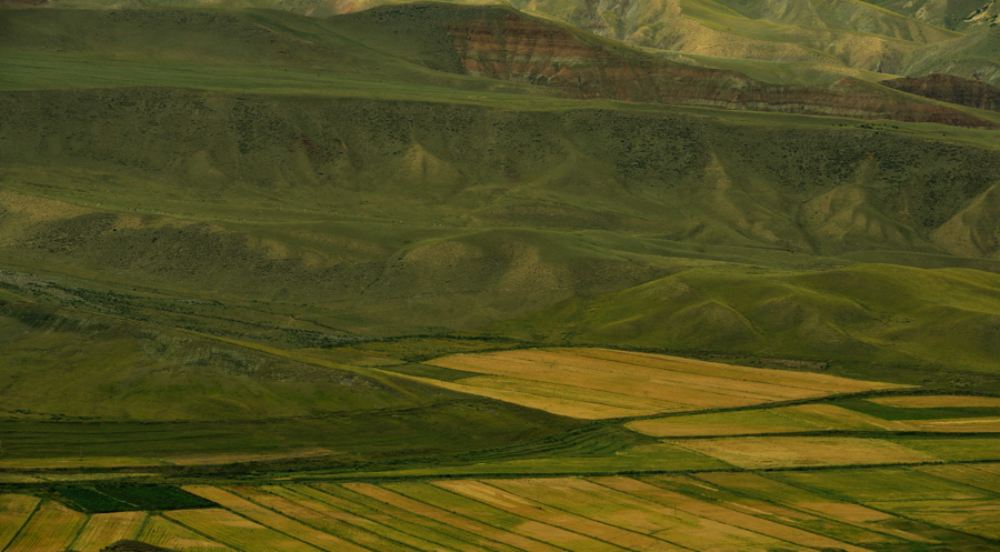 _DSC0062.jpg