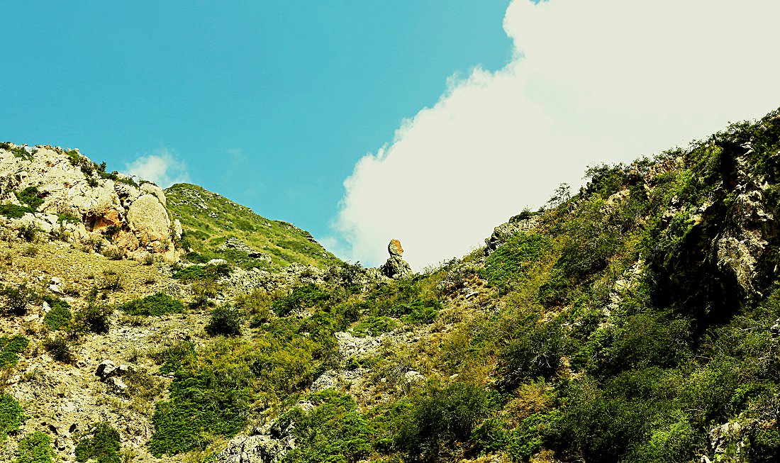  1502-2Qa.jpg