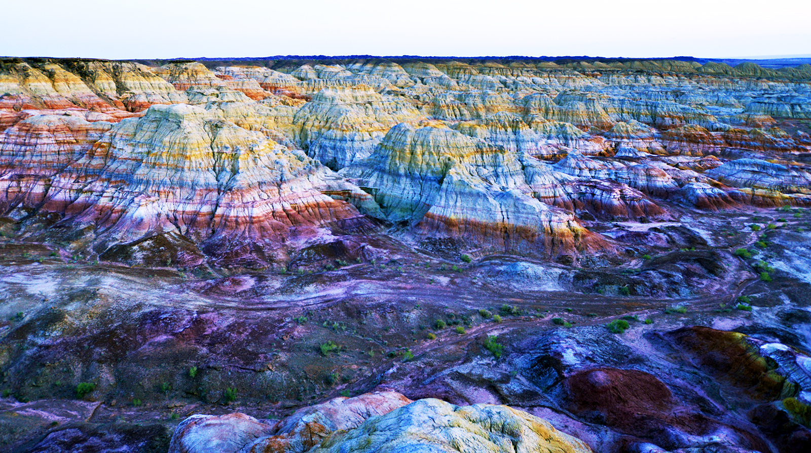 _ͷDSC8979.jpg