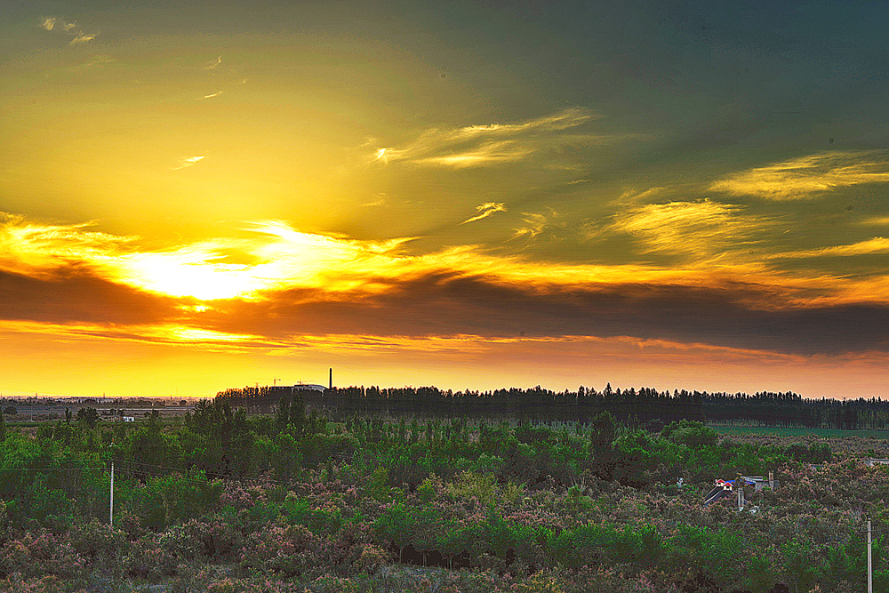 DSC_4425--1.jpg