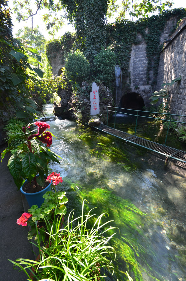 DSC_1010.JPG
