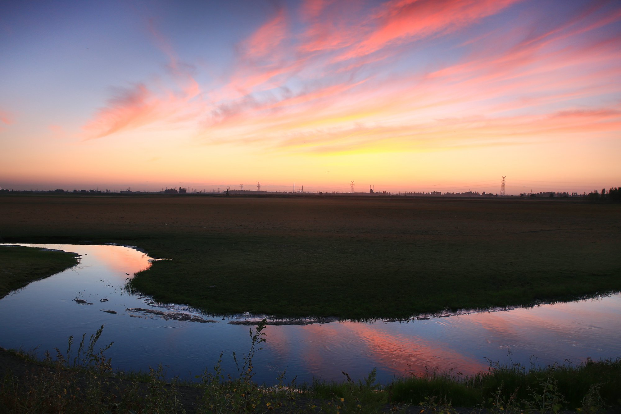 479A6600A.jpg