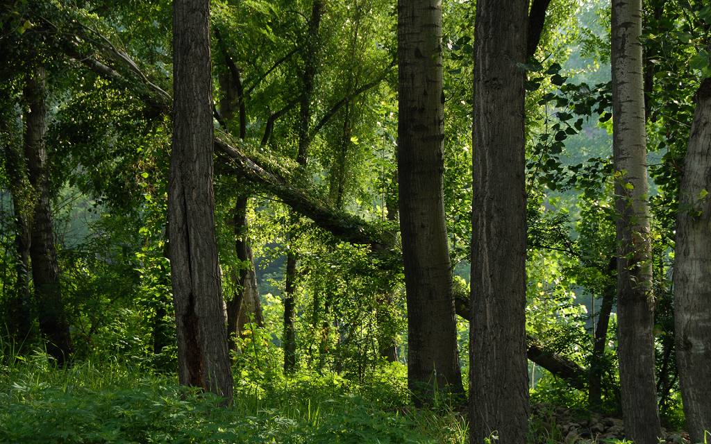 DSC_3957.jpg
