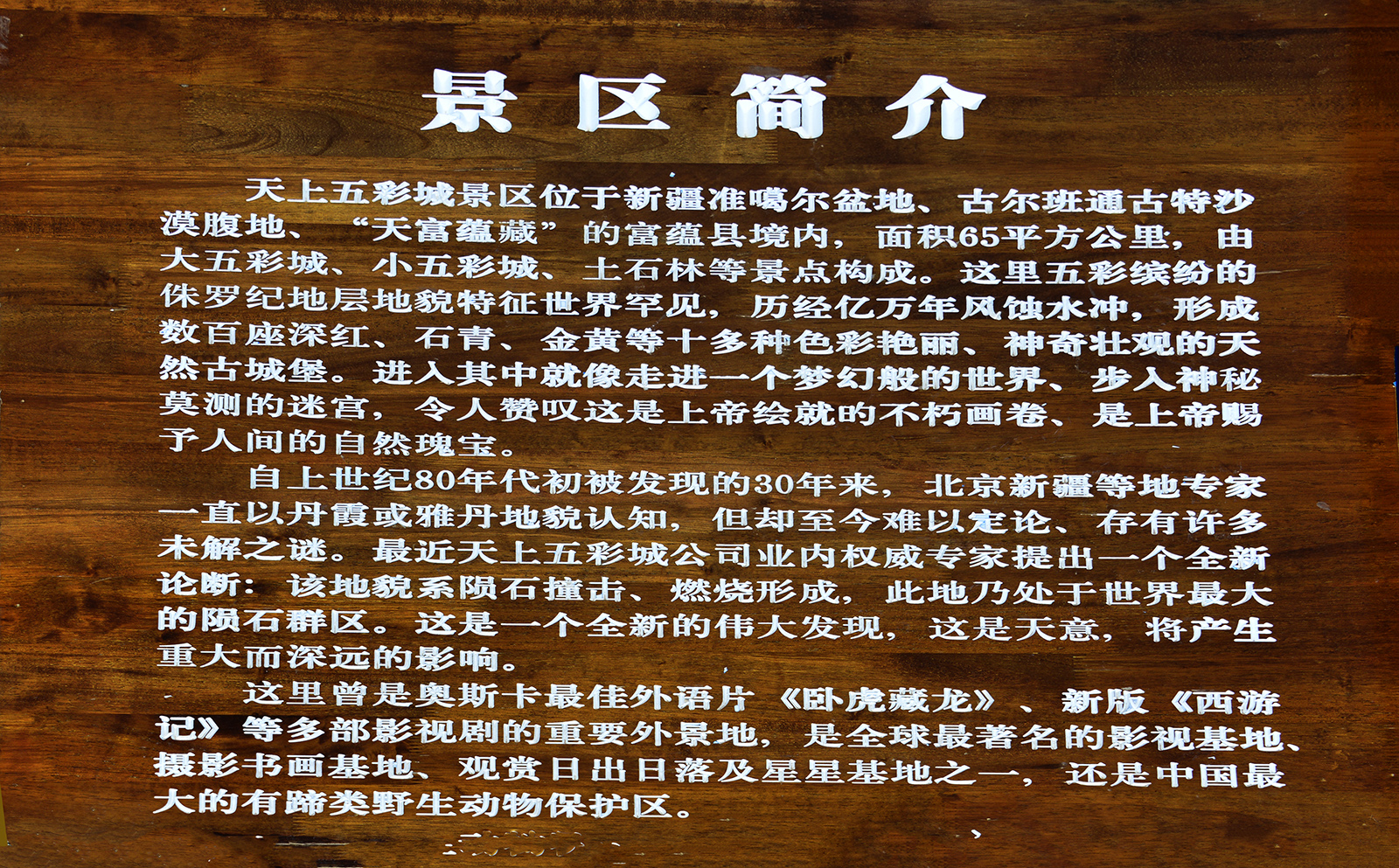 _DSC8618.JPG
