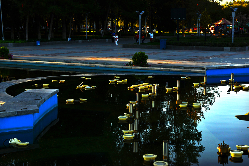 DSC_8733-1.jpg