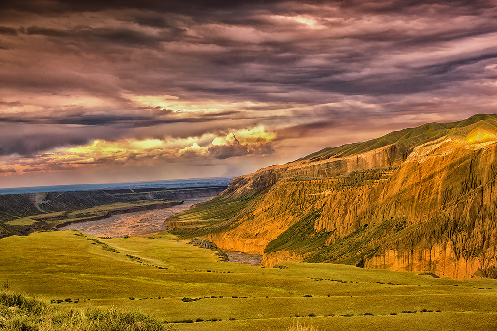 _MG_4603.jpg