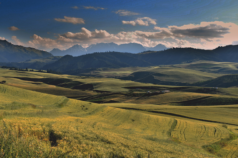 DSC_6982-1-1.jpg